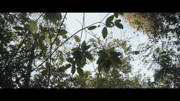Randara Short film teaser