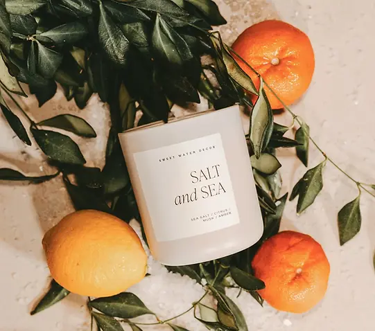 CL120-SALT-AND-SEA-15OZ-TAN-MATTE-CANDLE-HOT-METAL-STUDIO-SEPTEMBER-2023-SWEET-WATER-DECOR
