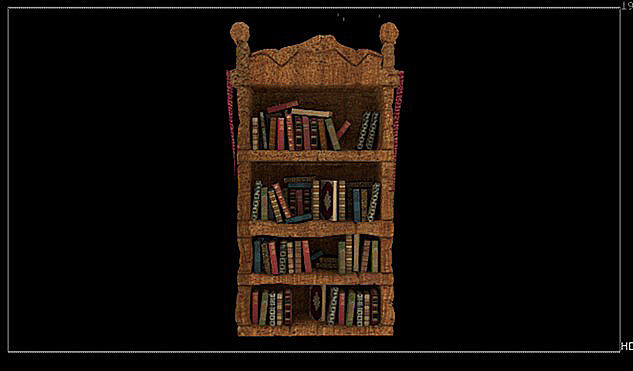 Picture25