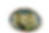 Nudel
