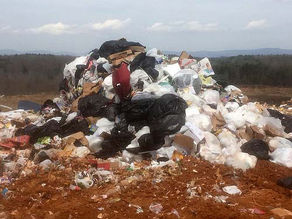 Reduce, Reuse, Recycle: Those Pesky Plastic Bags
