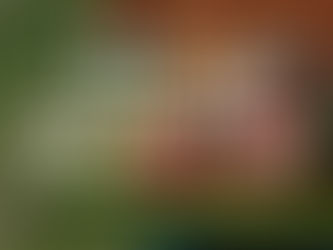 How's Your Gut Health?