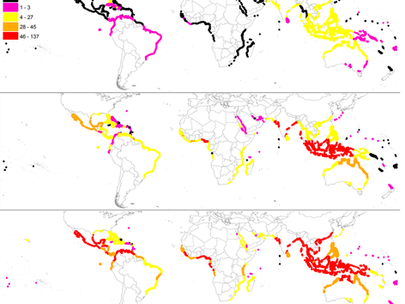 Mangrove forests important for terrestrial biodiversity