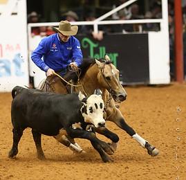 World's Greatest Horseman The Toy 2.jpg