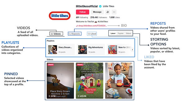 Social Media Strategies (2)_edited.jpg