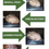 Thumbnail: Slaughtered chicken