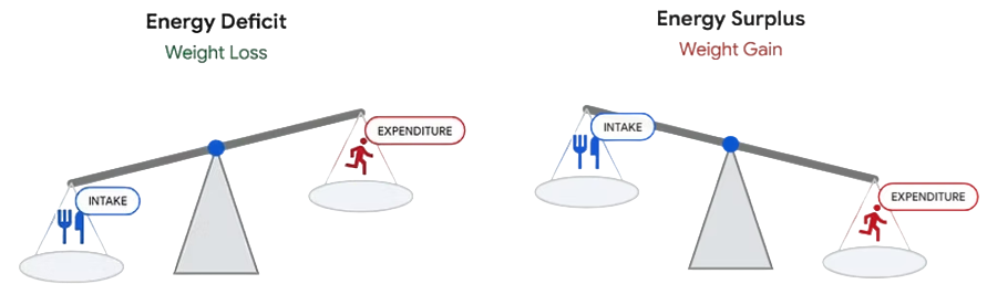 Image of energy intake and energy expenditure on scales