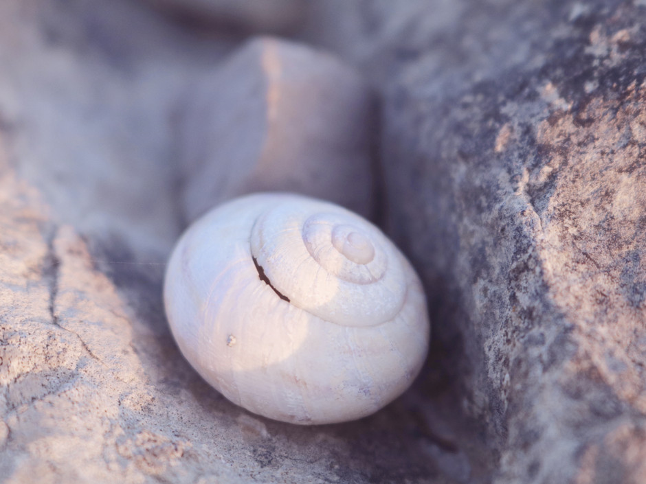 A modern rationale for how healing occurs and how it inspired me to created my business logo