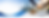banner.png