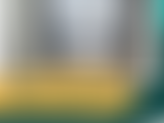 How do you go to the toilet in a campervan? All you need to know about toilets in your van