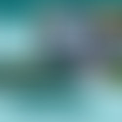 Campervan gear essentials - everything you need to pack for a great campervan experience