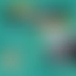 Next stop: Newbury! Join us at The Southern Motorhome & Campervan Show this May