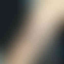 Tatuagem antebraço borboleta