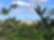 IMG_6418 3_edited.jpg
