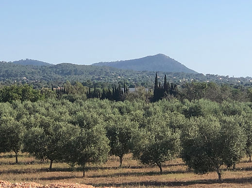 SAINTE VICTOIRE.JPG