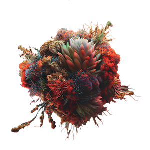flora.png