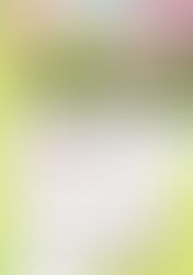 2026　春の歌会　作品発表