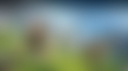 Square Enix Takes Legal Action Over Articles Targeting Final Fantasy XIV Development Staff