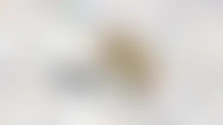 Short: Square Enix Shares Developer Messages for Final Fantasy IX’s 25th Anniversary