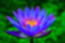 Atma Kriya Meditation