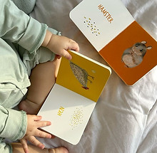 Quiet Toys for Kids.jfif