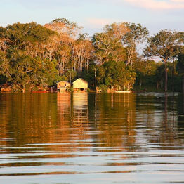 Exploring Amazon Tribes: History, Diversity, and Culture