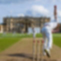 county-cricket-success.jpg