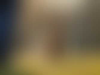 Effective Dog Training Techniques for Every Owner