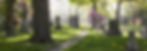 Green-WoodCemetery_hero_BarrettDoherty_2015.jpg