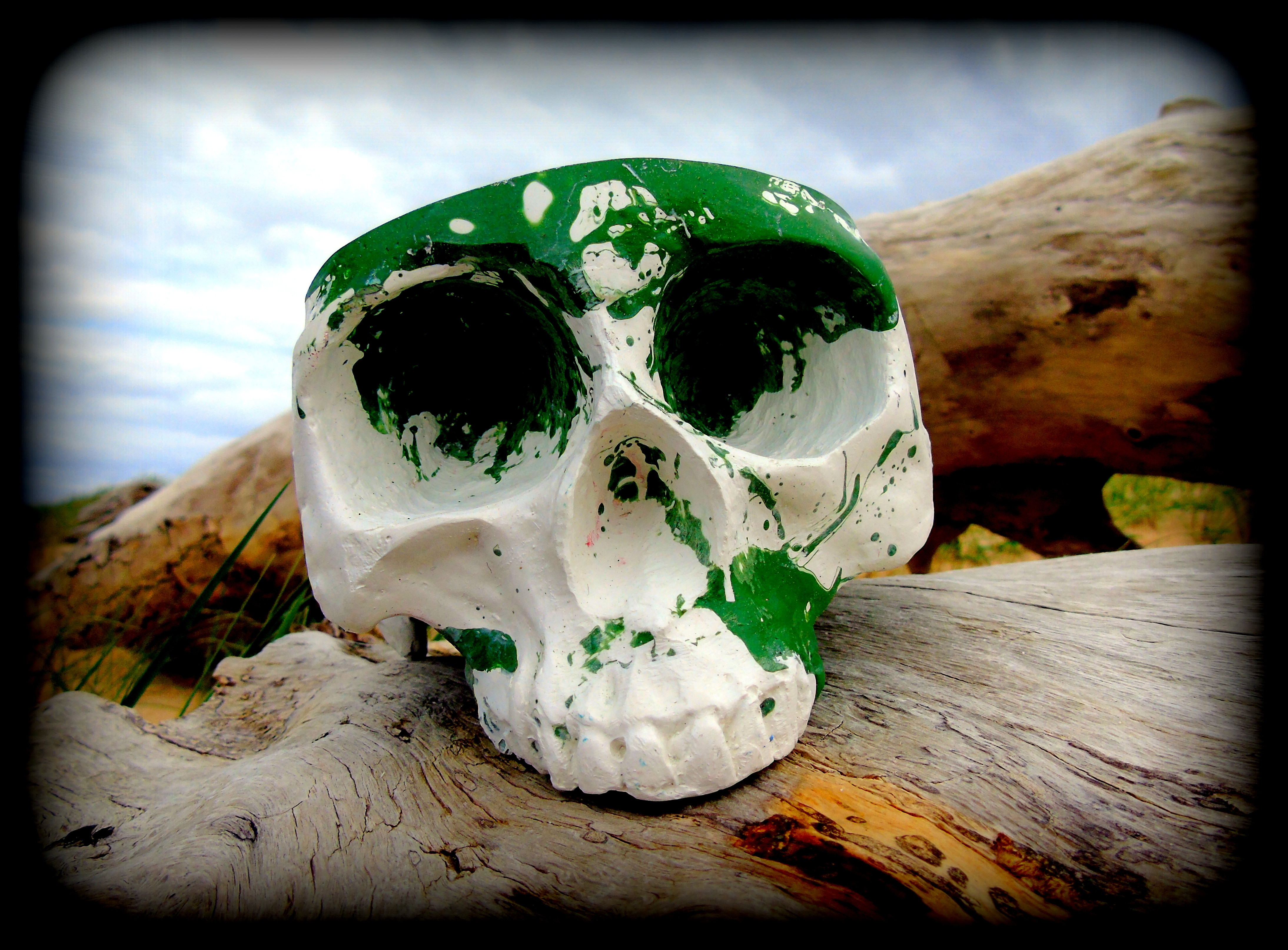 Skull Support Color