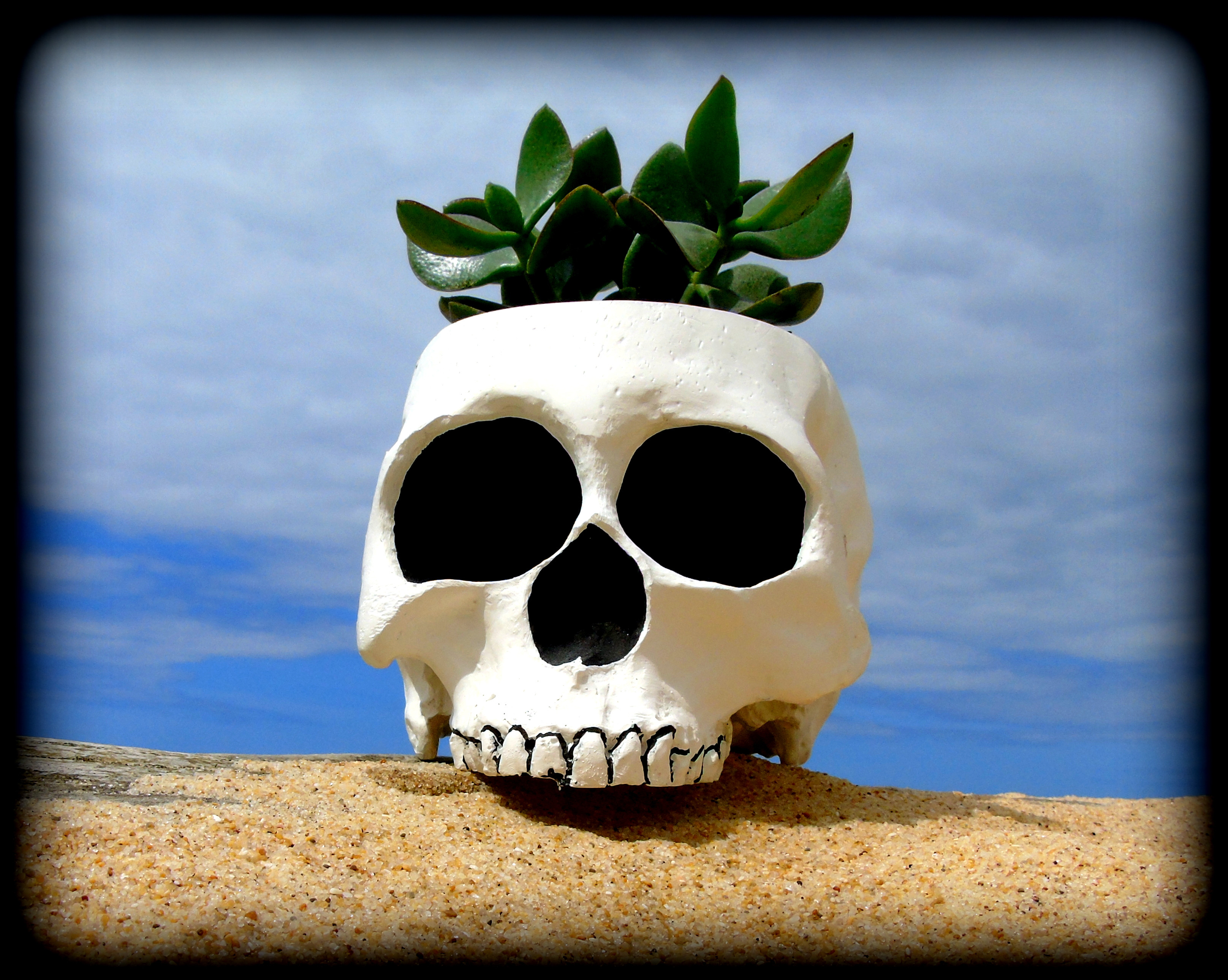 Skull Plant