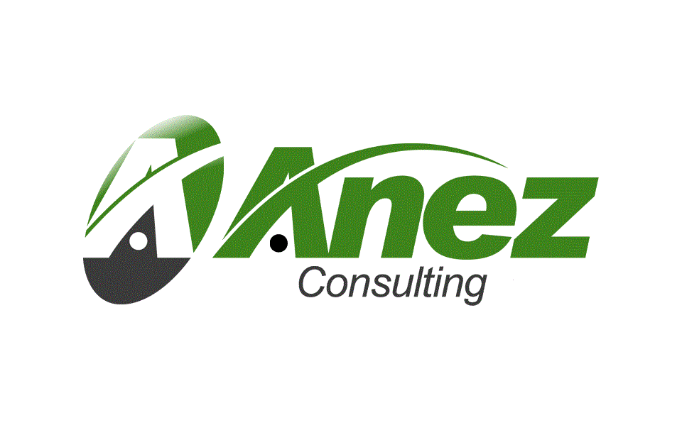 Anez Consulting Logo.gif