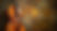AdobeStock_1375552473.jpeg