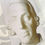 Thumbnail: Adam Smith Plaque