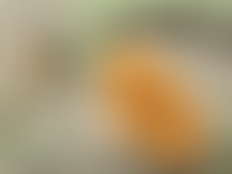 Glow from Within: 7 Ayurvedic Detox Rituals for Daily Radiance
