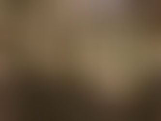 What Does Managing a Woodland Commercially Mean and in What Sort of Ways Can This Be Done?