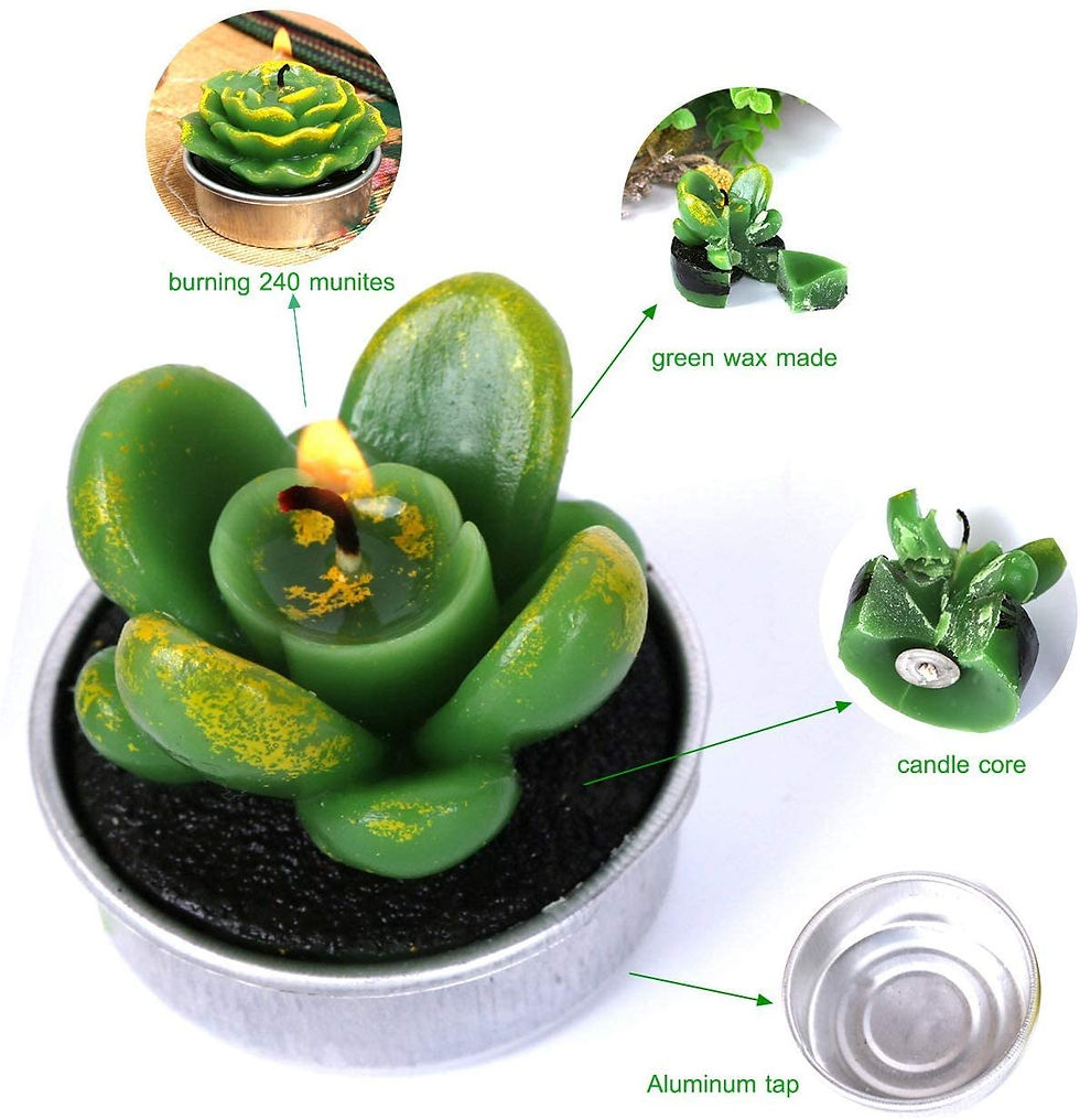 Thumbnail: Cactus Tealights Candle Delicate Succulent Tealight Candles  (set of 6)