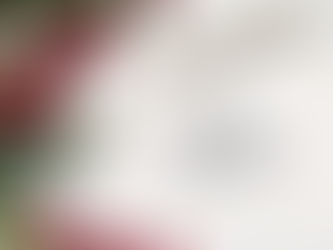 MARCH – Spring Awakens….