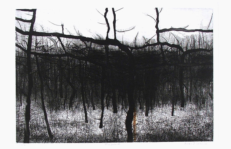 The Wood.JPG