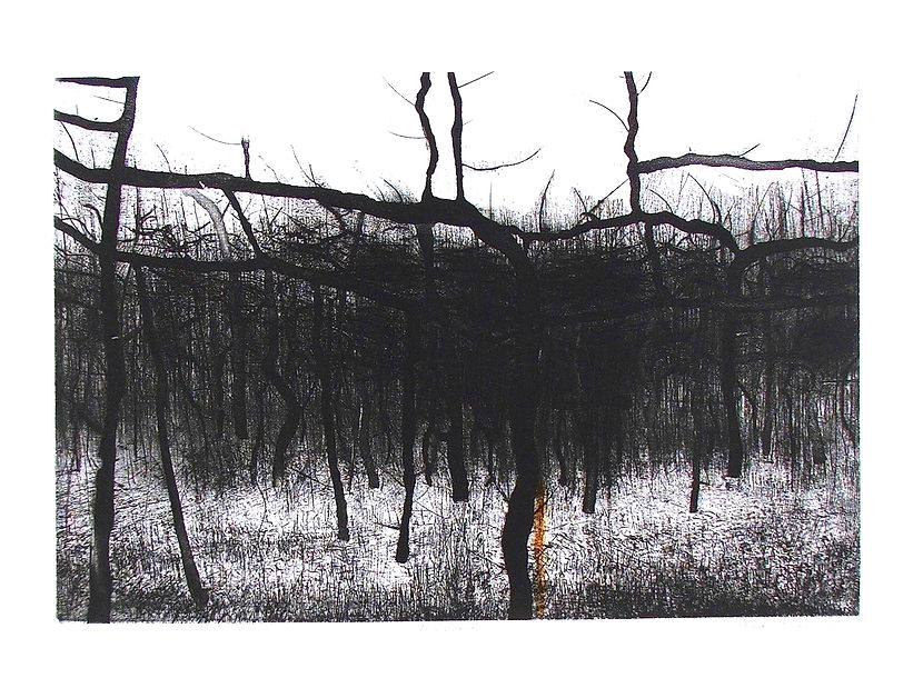 The Wood.jpeg