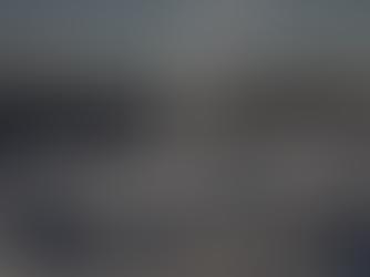 Die Emotionale Autorität im Human Design – Warum die Hälfte der Menschheit falsche Entscheidungen trifft