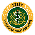 HİTİT VETERİNER TRANSPARAN.png