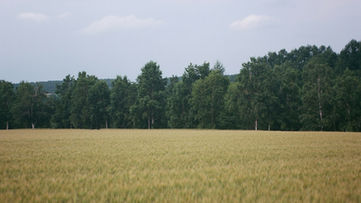 plaine agricole boisée zone naturelle STECAL PLU protection biodiversité Yvelines tribunal administratif Versailles