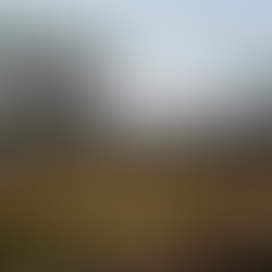 Défrichement illégal en espace boisé classé - zone naturelle protégée détruite - illustration affaire CA Versailles 17 décembre 2025