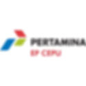 Pertamina EP Cepu