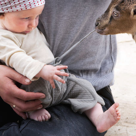 klappe geder, famillietur, zoo, hyggestunder