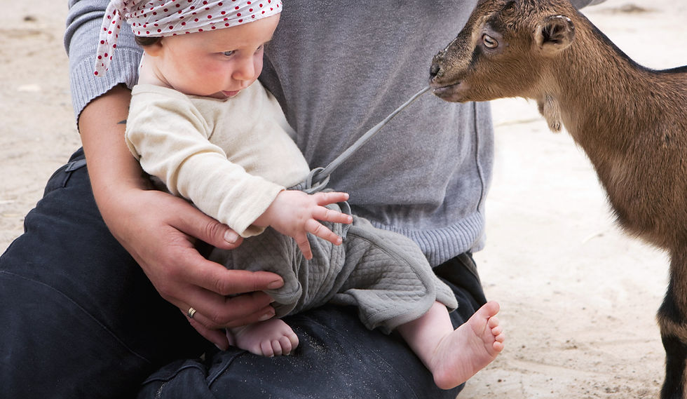 Baby interagiert mit Ziege