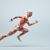 AdobeStock_463594996.jpeg