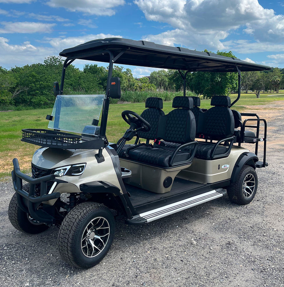 New Customized Gold Golf Cart Built at DJ Golf Cart Rentals Clermont Florida