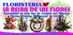 1 lona de 2x1